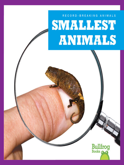 Title details for Smallest Animals by Lily Austen - Available